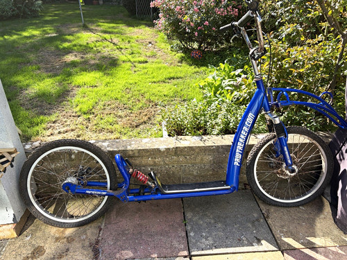 Pawtrekker blue adult push - pawtrekker,